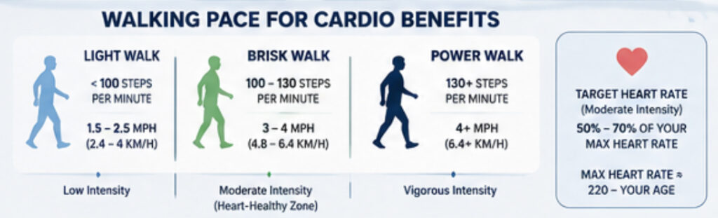 Brisk walking pace for improving heart health and fitness. 